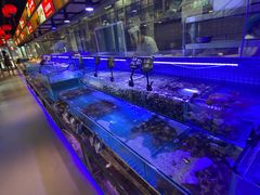 -渔民船说·北塘海鲜·天津菜·海肠捞饭(北塘古镇店)