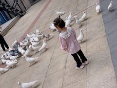 -大鹏佳兆业广场