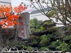 -华园农庄·特色炭烧鸡·北江河鲜