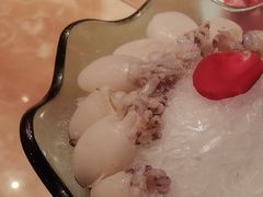 -清真军邺·金富苑肥牛(石坡街旗舰店)