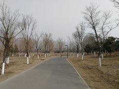 -东郊湿地公园