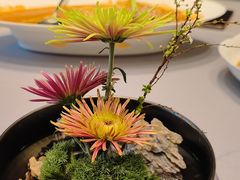 -花锦堂·隐庐