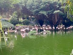 -九龙公园