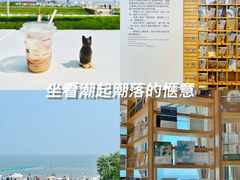 -猫的天空之城概念书店(北戴河蔚蓝海岸店)