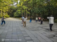 -人民公园-相亲角