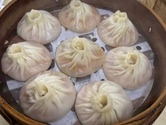 -莱莱小笼·乔艾