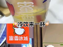 -蜜雪冰城(鸟巢店)