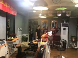 -章光101防脱养发荟