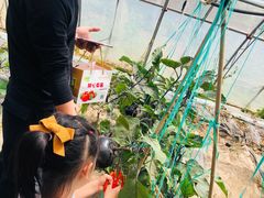 -甜心庄园·甜心草莓采摘园(西青中北店)