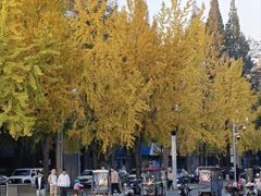 -四川大学(望江校区)