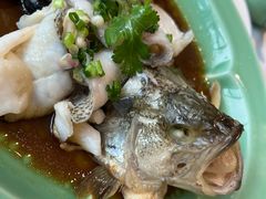 -西湖春天•老字号杭州菜(百汇店)