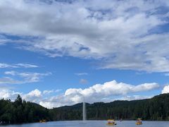 -五营红松林海景区