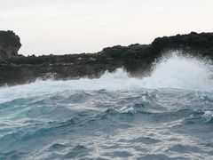 -企鹅岛