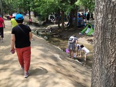 -白水寺森林公园