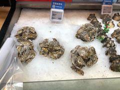 -盒马X会员店(王府井奥莱UP TOWN店)