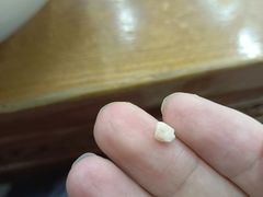 -回坊马二饺子馆