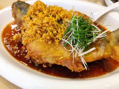 -清新鸡沙田乳鸽店(金融店)