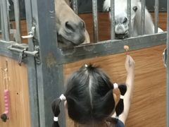 -骑乐马术(广州奥体优托邦中心)