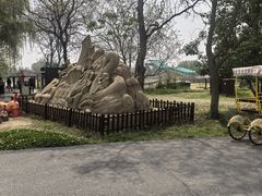 -泗洪洪泽湖湿地景区