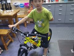 -GIANT捷安特自行车专卖店(金桥台儿庄路店)