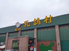 -石岐乳鸽村(南海第三分店)