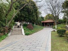 -沙市市中山公园