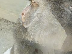 -成都动物园