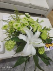 -HEYAN长风荷妍专业脱毛美肤
