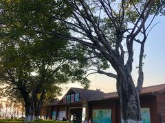 -飞来湖湿地公园