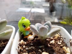 -UNI UNI(环亚凯瑟琳店)