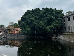 -海都六福酒家(世博广场店)