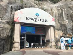 -贝壳梦幻世界