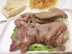-丁老爷子苏香圆