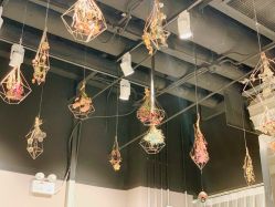 -三只熊皮肤管理中心