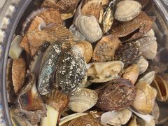 -赶海部落海鲜城(海阳路店)