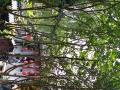 -烟雨人家(塔湾街店)