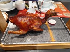 -羽鸽集·乳鸽专门店·地道顺德菜(岭南站店)