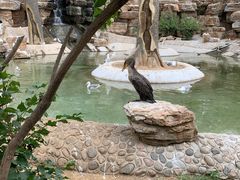 -石家庄市动物园