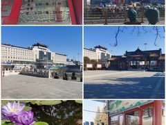 -莲花池公园