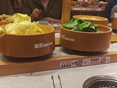 -龍歌自助小火锅(崂山丽达店)