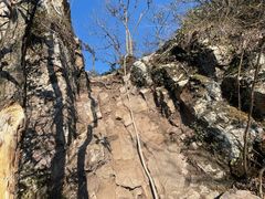 -午潮山国家森林公园