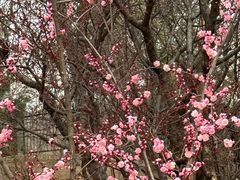 -鹫峰国家森林公园