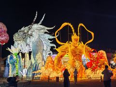 -淄博花灯齐彩城