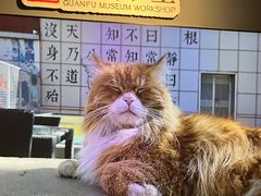-上海观复博物馆