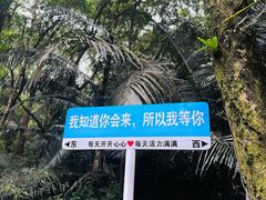 -七仙岭温泉国家森林公园