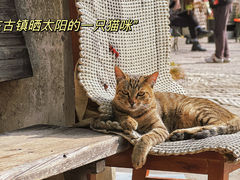 -南浔古镇