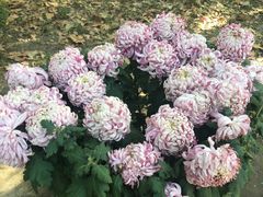 -共青国家森林公园-售票处