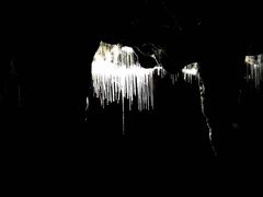 -怀托摩萤火虫洞