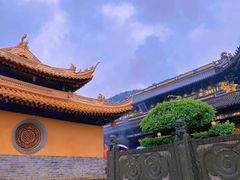 -紫竹林