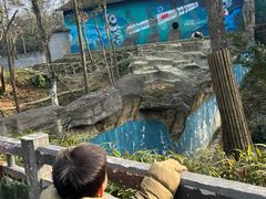 -中国大熊猫保护研究中心雅安碧峰峡基地